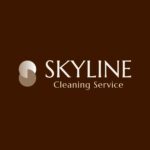 skyline cleaning logo.jpg
